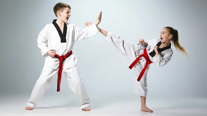 Curso de Técnicas Básicas de Taekwondo